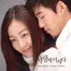 Various Artists - 사랑에 미치다 (Original Television Soundtrack)